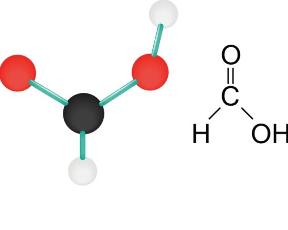 Formic Acid Linear Formula: HCOOH CAS No.: 64-18-6 Molecular Weight: 46.03 Synonym: Methanoic acid solution,Formylic acid solution